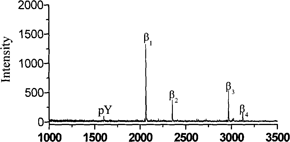 Affinity chromatography fixed phase of immobilization metal and its preparation method