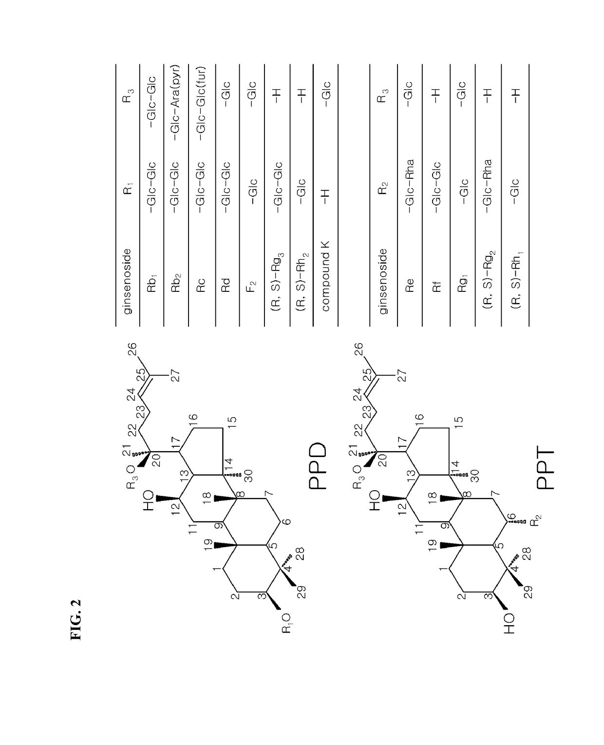 Composition containing saponins of panax ginseng as active ingredient