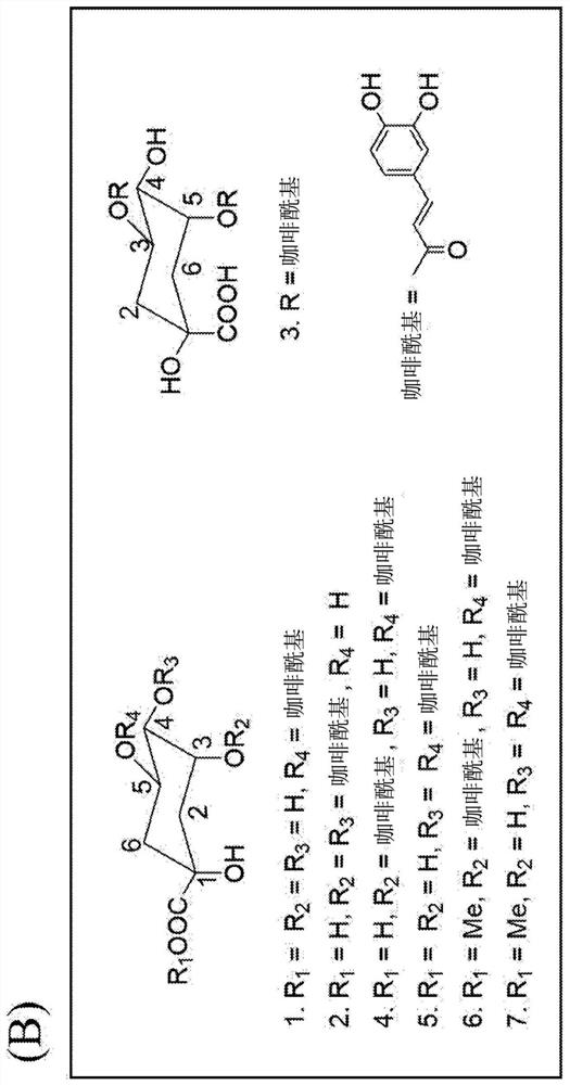 Composition for improving skin barrier damage and/or alleviating skin inflammation, containing 3,5-dicaffeoylquinic acid as active ingredient