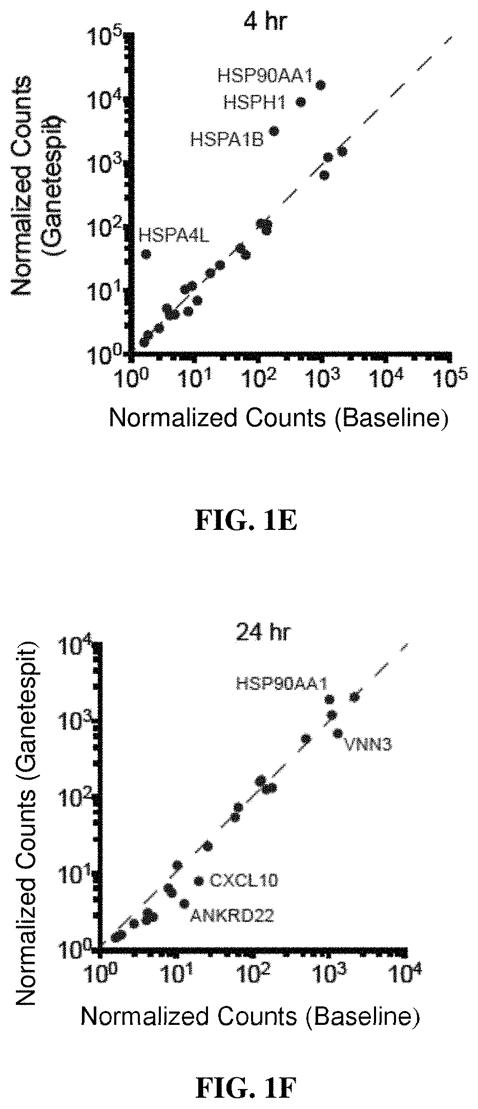 Combination treatments of hsp90 inhibitors for enhancing tumor immunogenicity and methods of use thereof