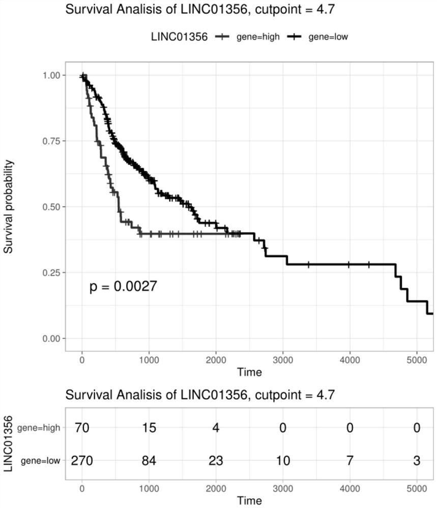 Application of long non-coding RNA in diagnosis and treatment of tongue squamous carcinoma