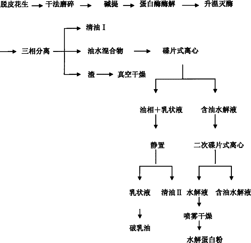 Medium test method for extracting oil and protolysate from peanut with water-enzyme method