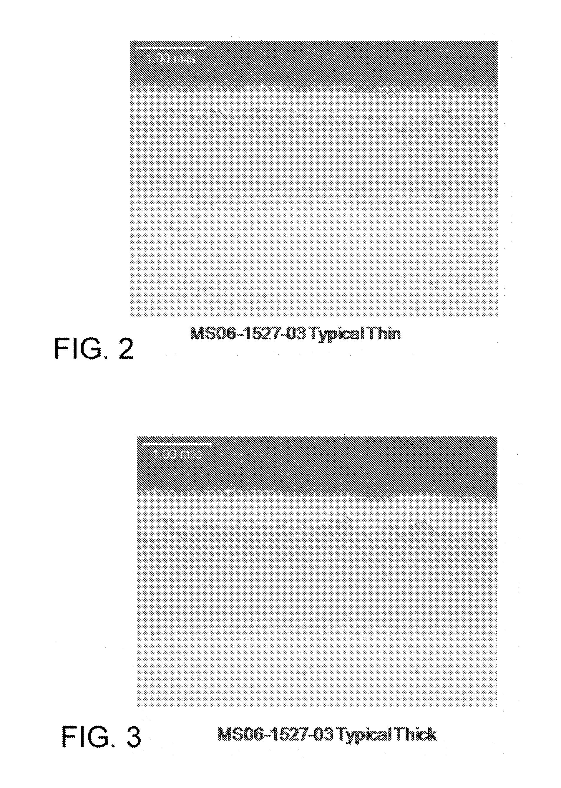 Slurry chromizing compositions