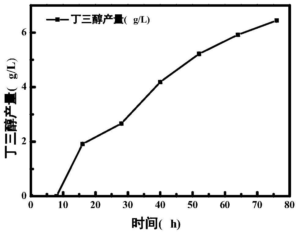 Method for producing D-1, 2, 4-butantriol by simultaneous saccharification and fermentation of corncobs