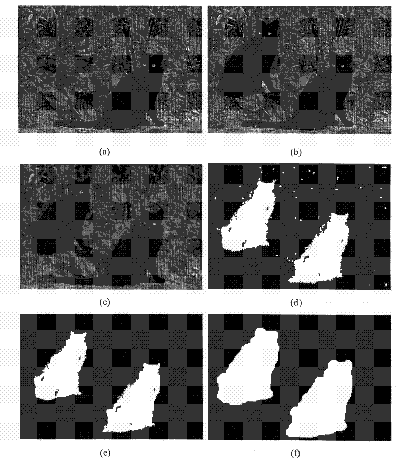 Method for detecting region duplication and forgery of color image