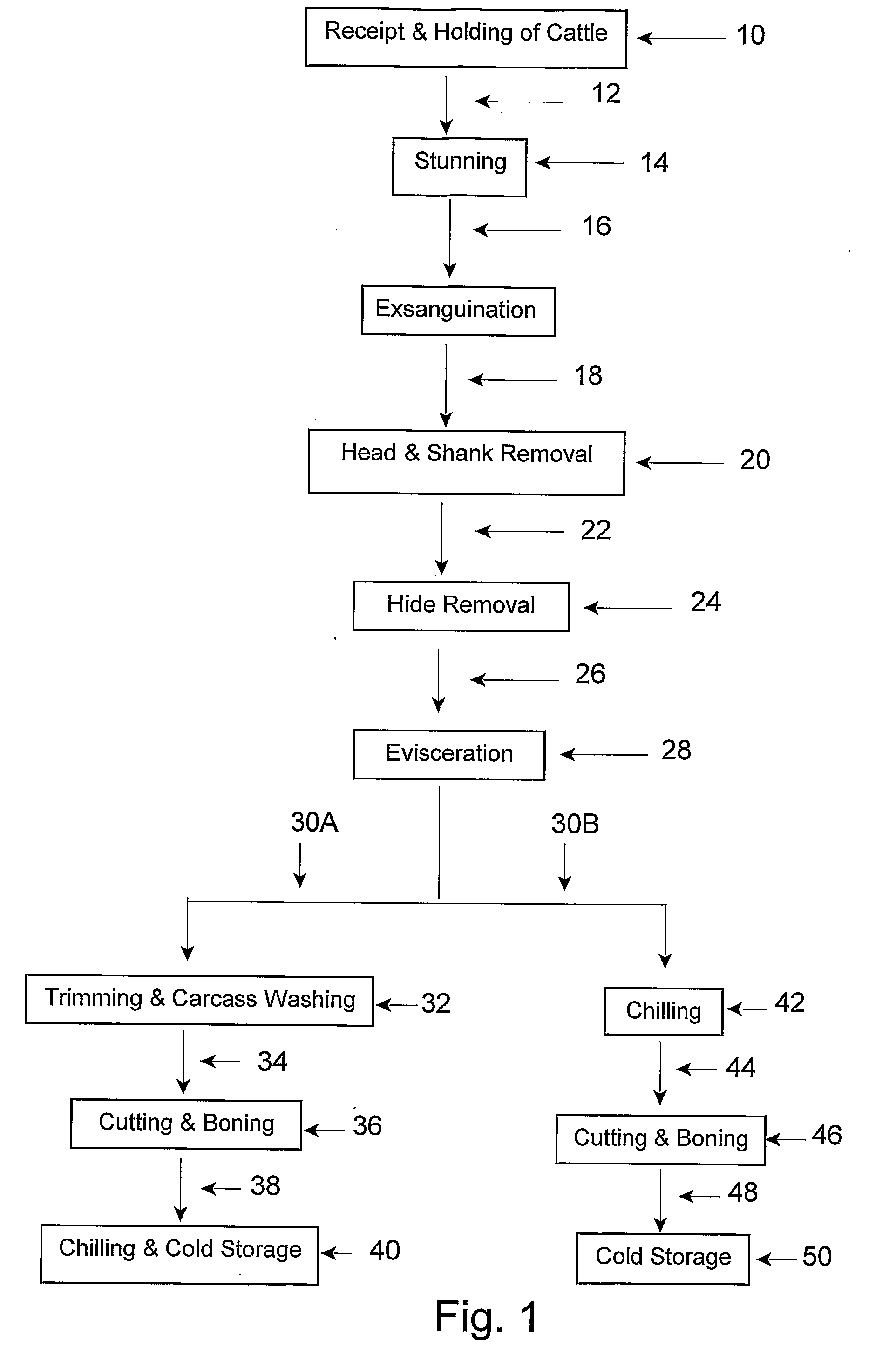 Microbiocidal Control in the Processing of Meat-Producing Four-Legged Animals