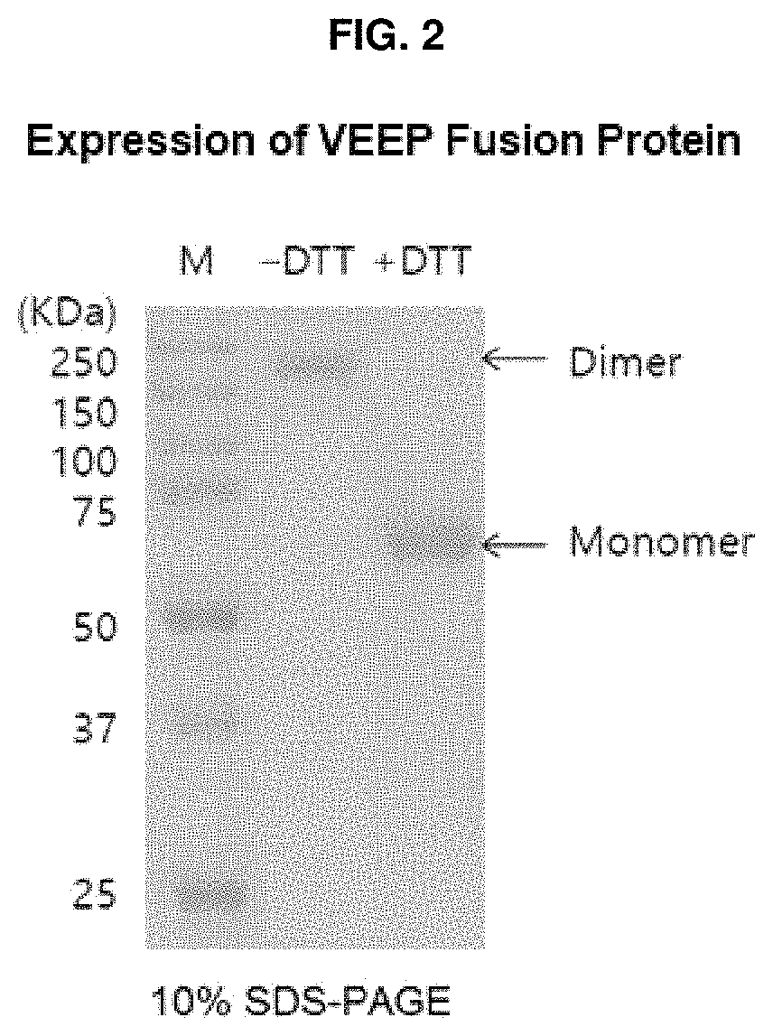 Cancer treatment composition for inhibiting tumor angiogenesis, containing VEGF deep blocker