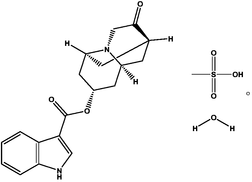 Injection composition containing dolasetron mesylate