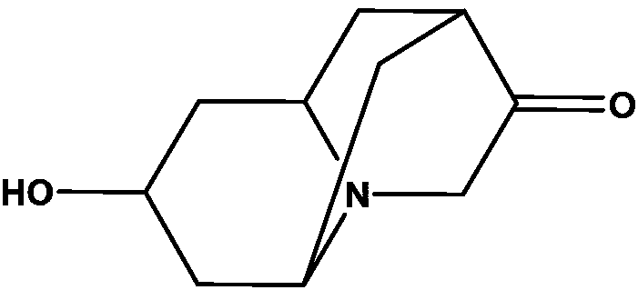 Injection composition containing dolasetron mesylate