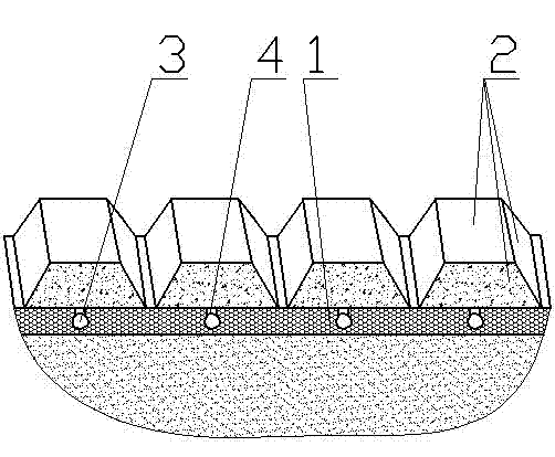 Organic-soil planting farm