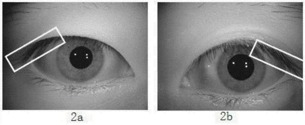 Method and device for judging left iris and right iris in iris recognition