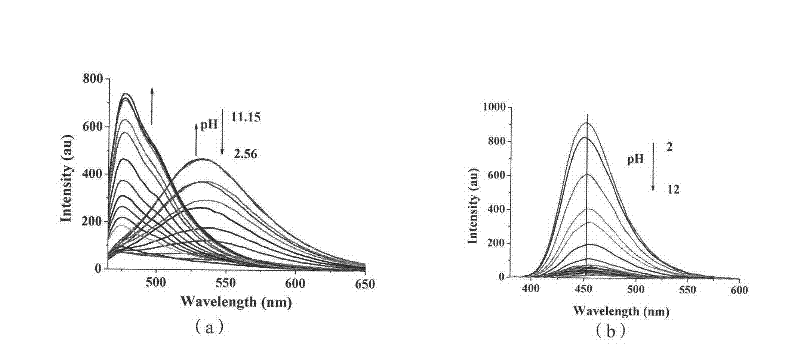 Fluorescent probe for detecting histidine, precursor thereof and preparation methods of fluorescent probe and precursor