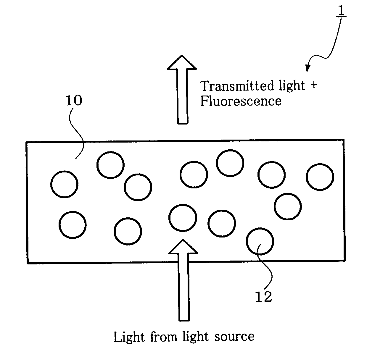 Fluorescence conversion medium and color light-emitting device including the same