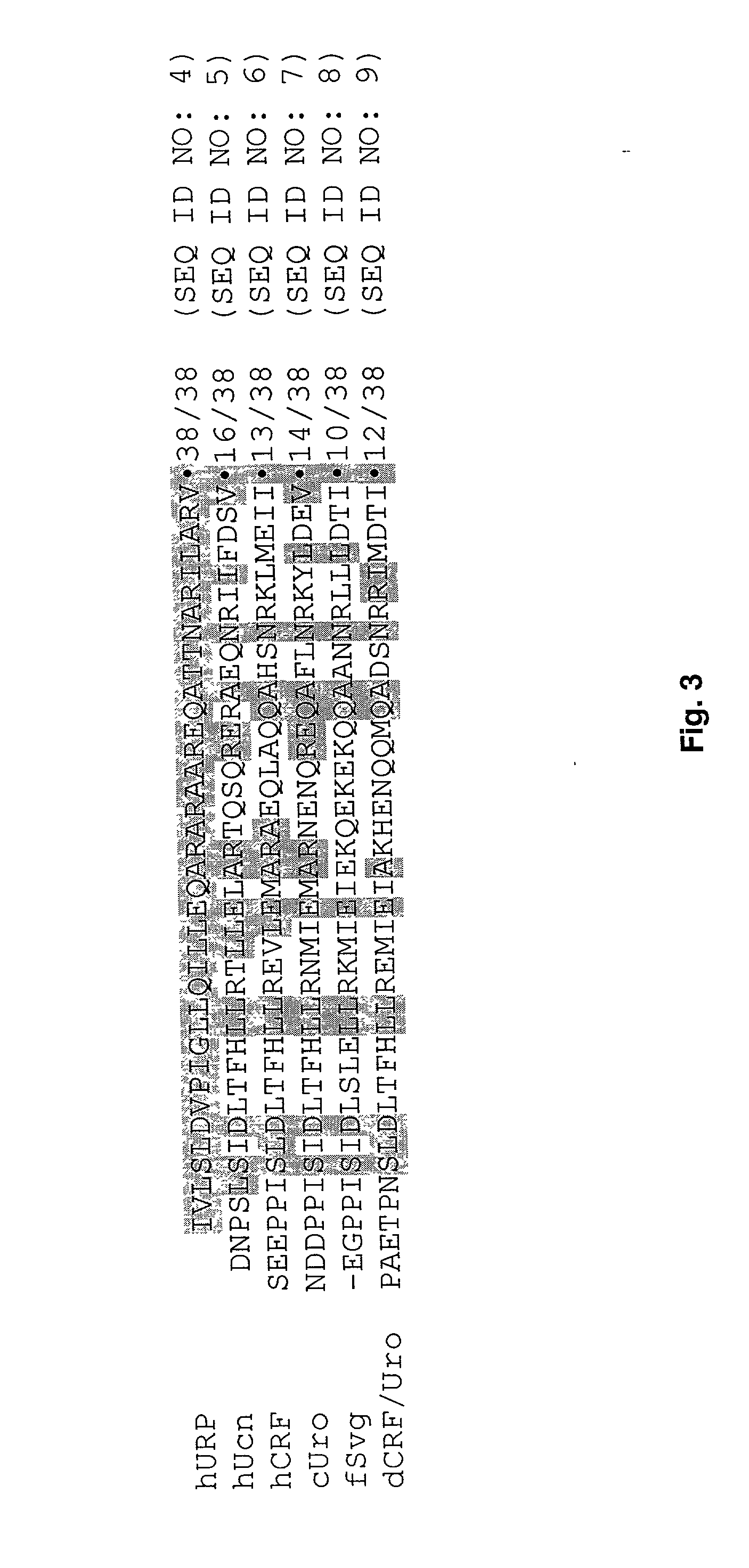 Urocortin proteins and uses thereof