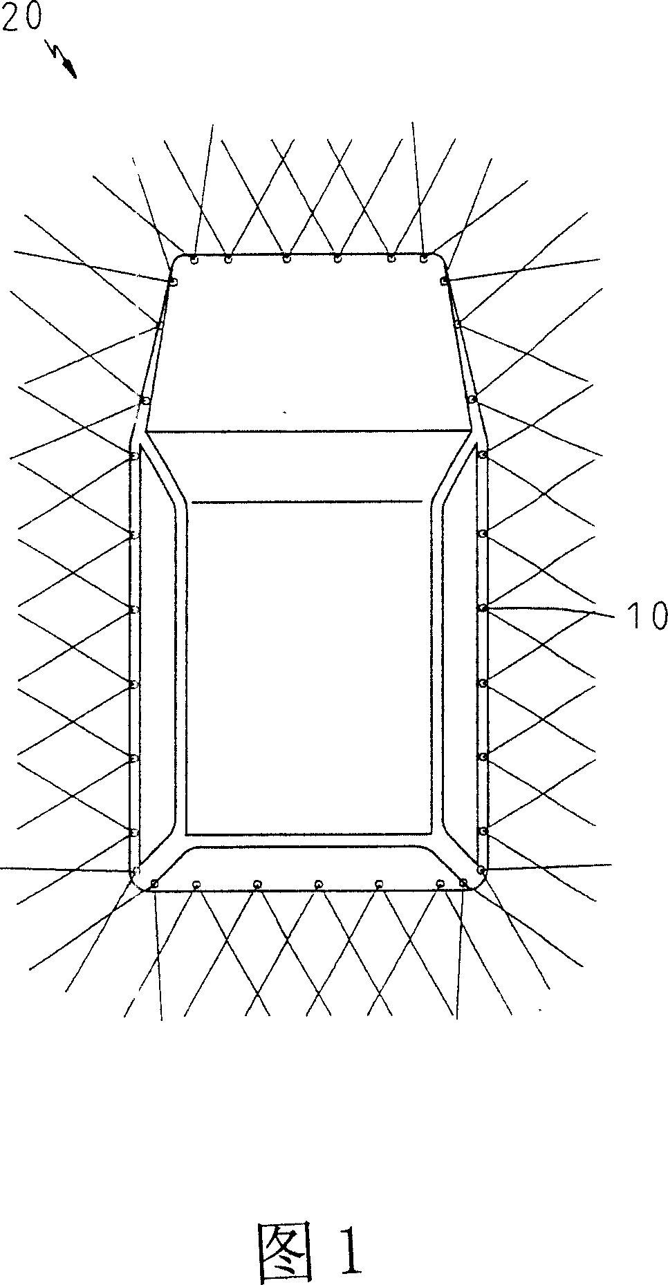 Surrounding photograph monitoring device and its method