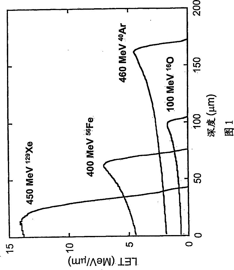 Functional membrane and process for production thereof, and electrolyte membrane for fuel cell and process for production thereof