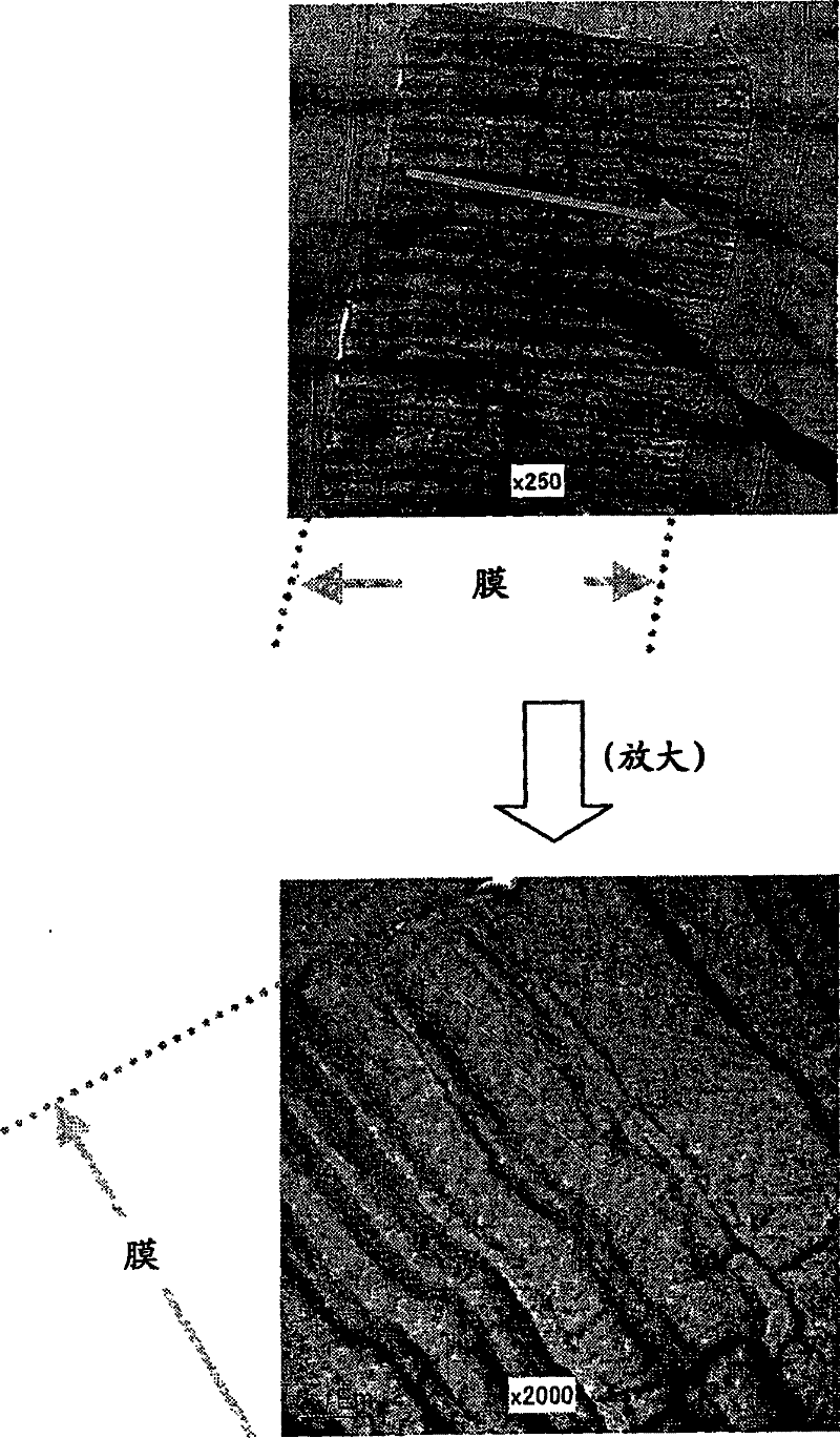 Functional membrane and process for production thereof, and electrolyte membrane for fuel cell and process for production thereof