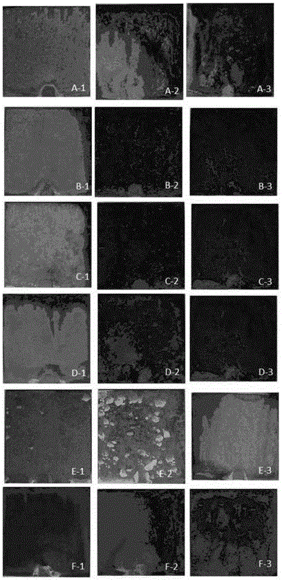 Corrosion simulation method and corrosion resistance evaluation method of galvanized steel coating in industrial atmosphere environment