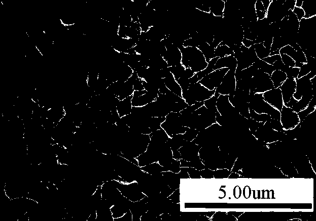 Preparation method of porous glass ceramic with photocatalysis function crystal phase and obtained product