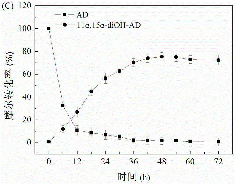 Method for synthesizing 11alpha, 15alpha-diOH-4-AD through Gibberella intermedia CA3-1