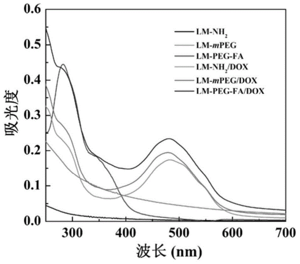 Lithium amide soapstone nano particles modified by polyethylene glycol-folic acid as well as preparation and application of lithium amide soapstone nano particles