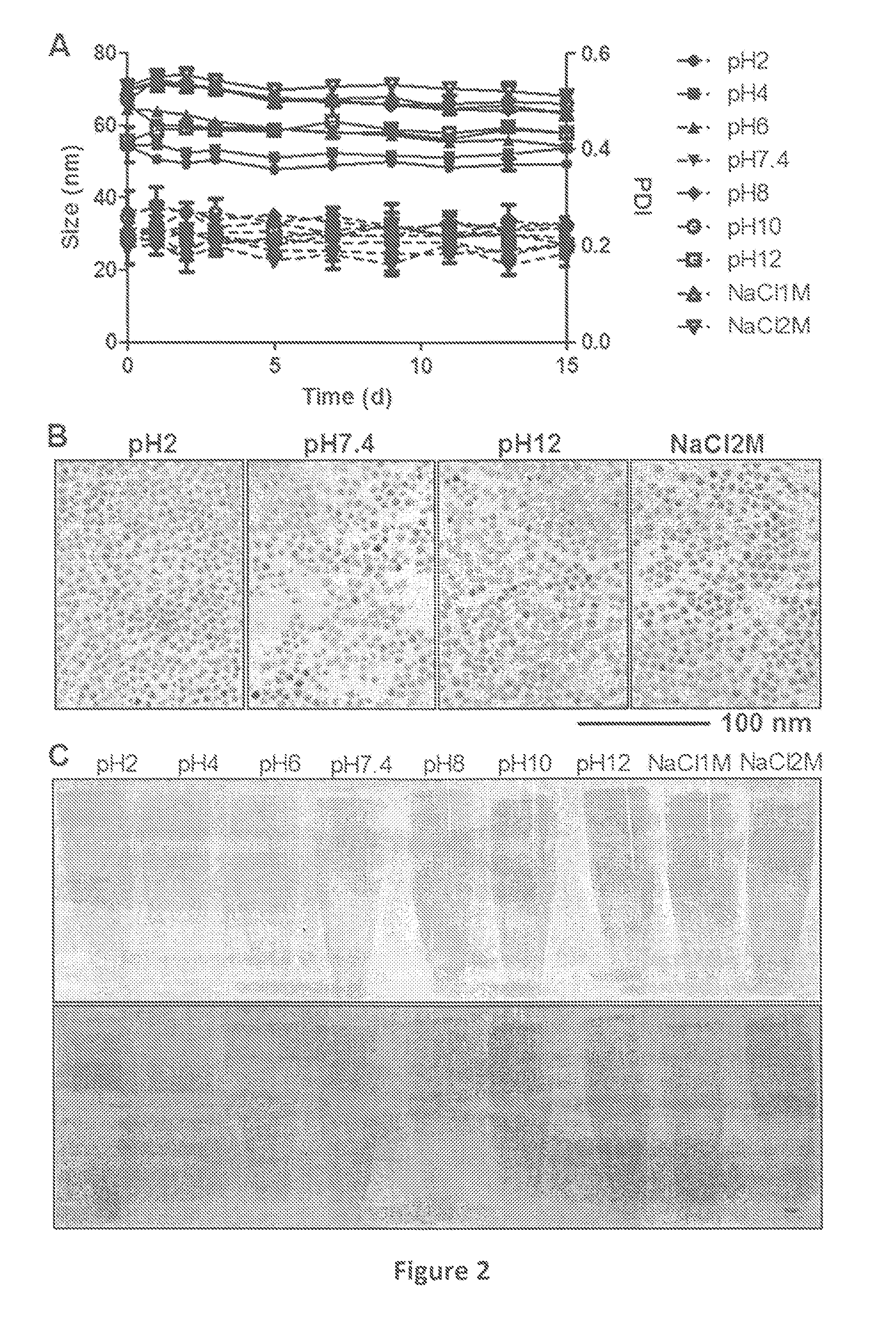 Tunable multimodal nanoparticles and methods of use thereof