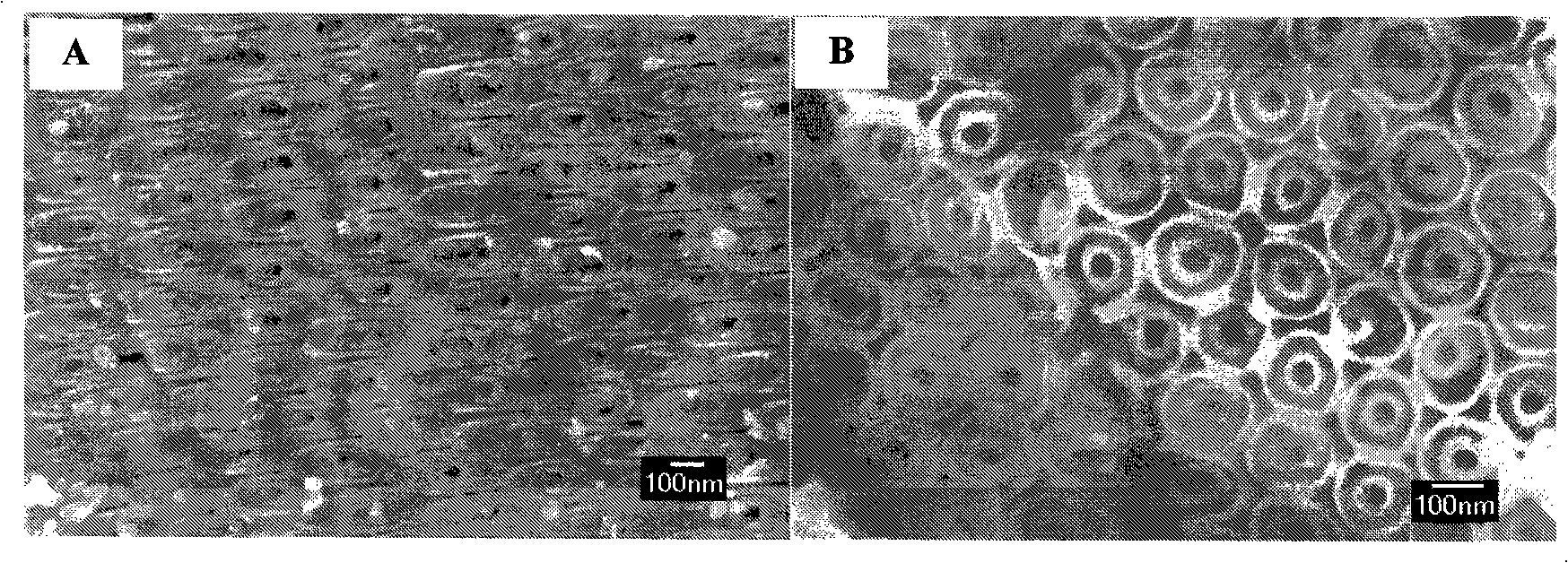 Coaxial double-pipe titanium dioxide nano-pipe array thin film and preparation method thereof