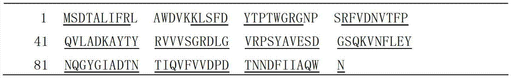 Method for preparing intragenus recombinant fungal immunomodulatory proteins and application of intragenus recombinant fungal immunomodulatory proteins