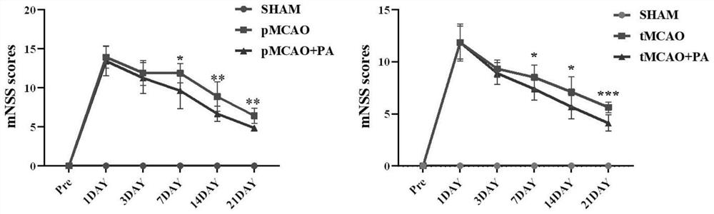 Application of periplaneta americana extract in preparation of cerebral apoplexy recovery product