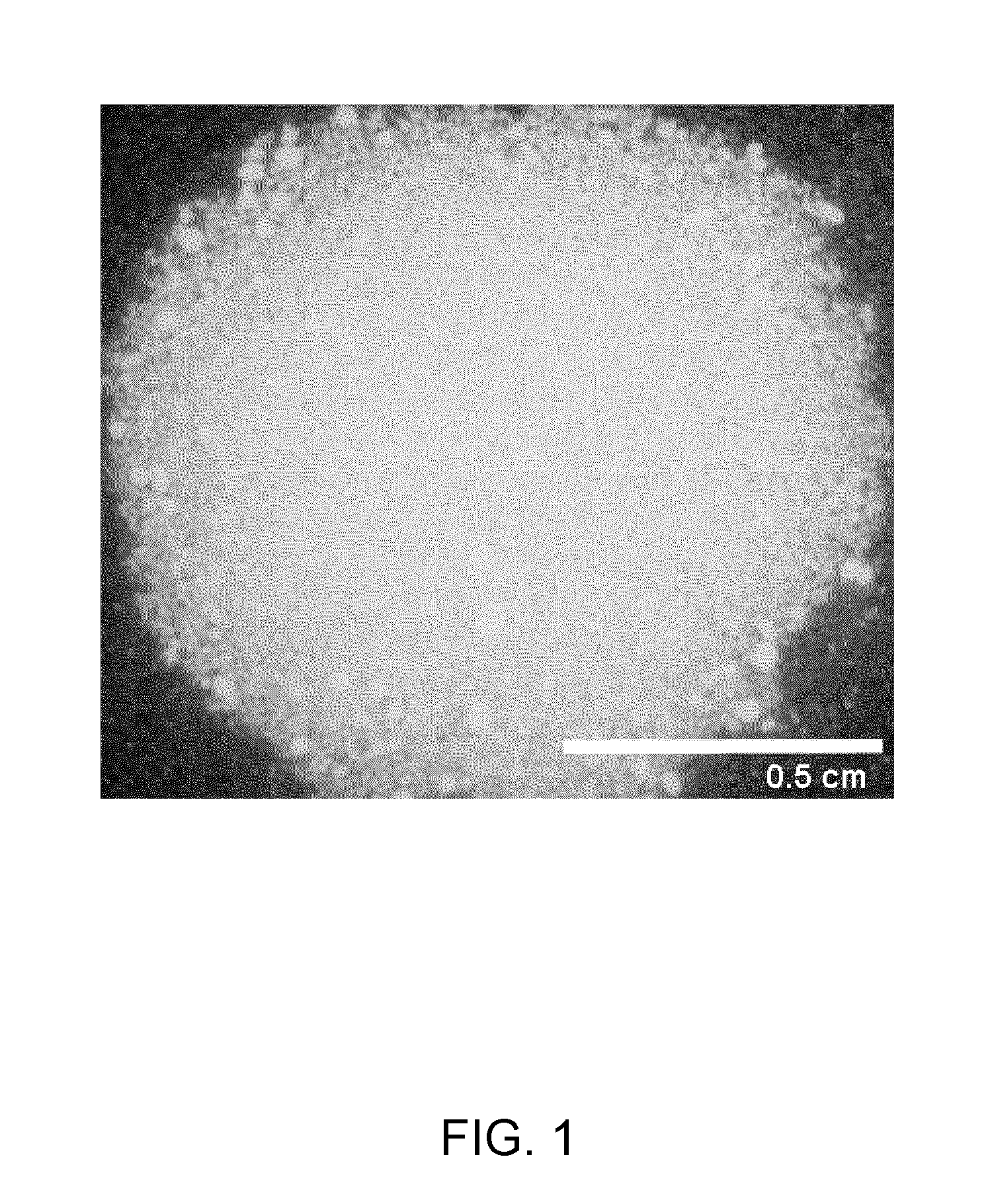 Cell compositions derived from dedifferentiated reprogrammed cells