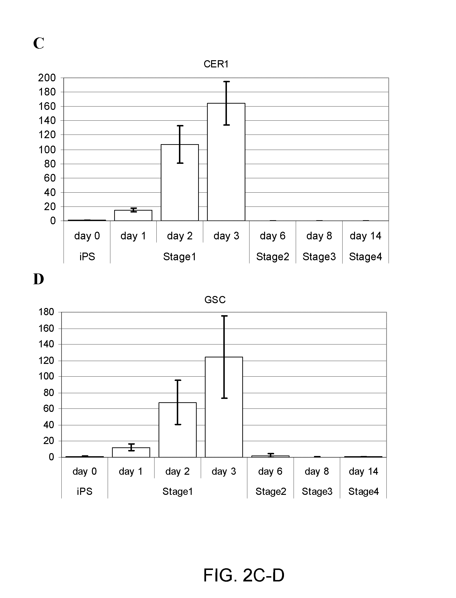 Cell compositions derived from dedifferentiated reprogrammed cells