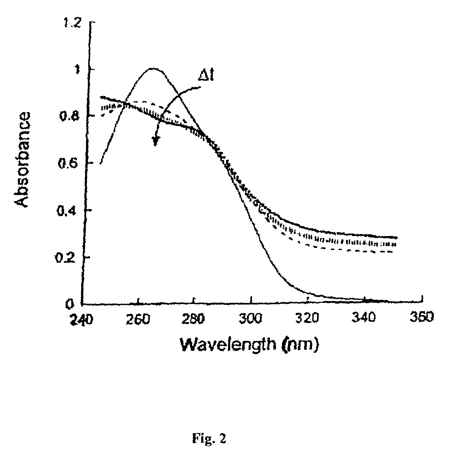 Patterned gradient wound dressing and methods of using same to promote wound healing