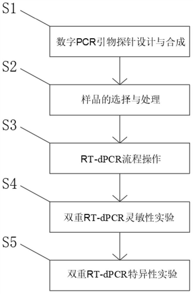 Method for detecting bird flu and avian infectious bronchitis viruses in livestock farm