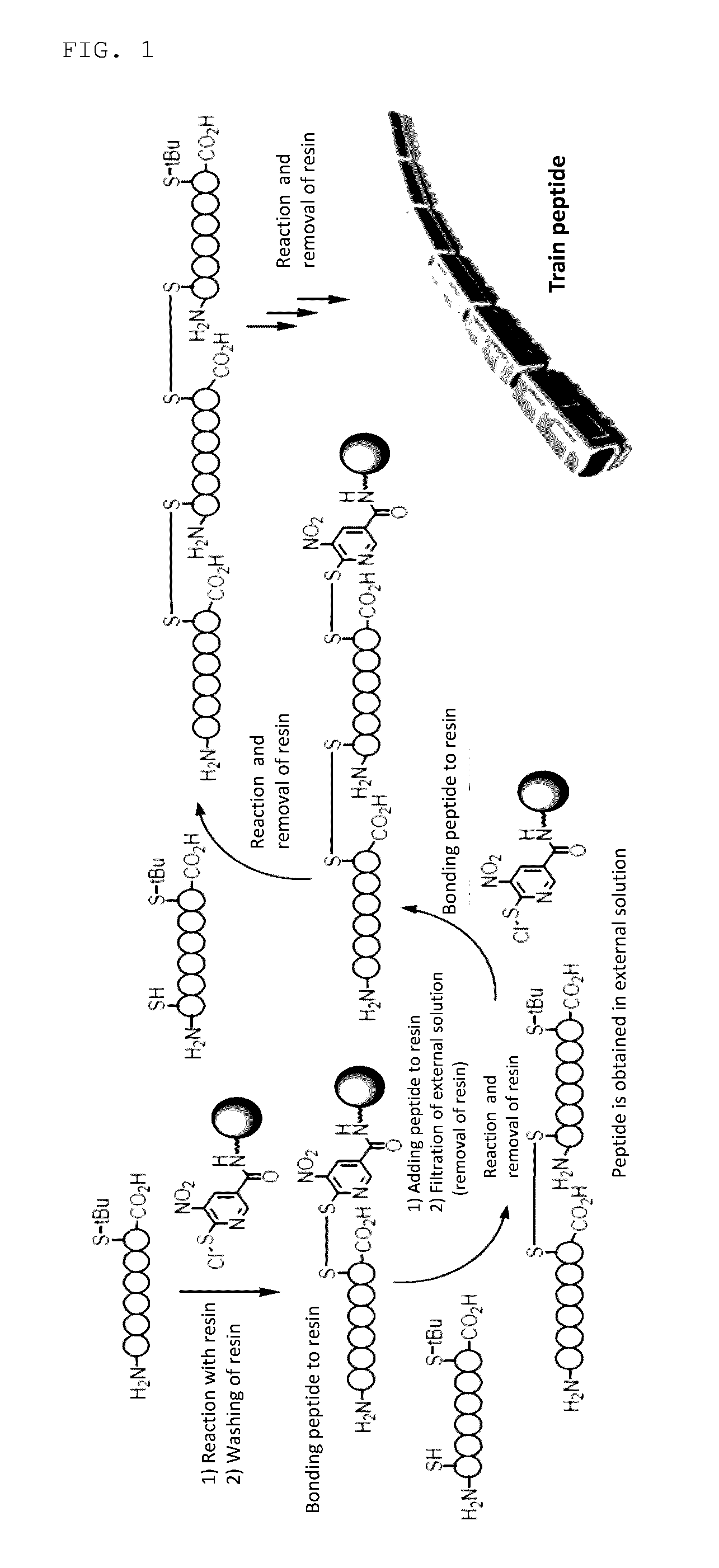 Novel compound, production method therefor, and application therefor