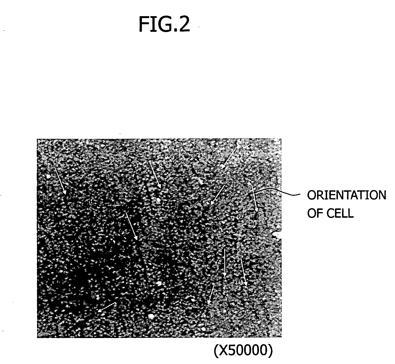 Anodic oxide film and anodizing method