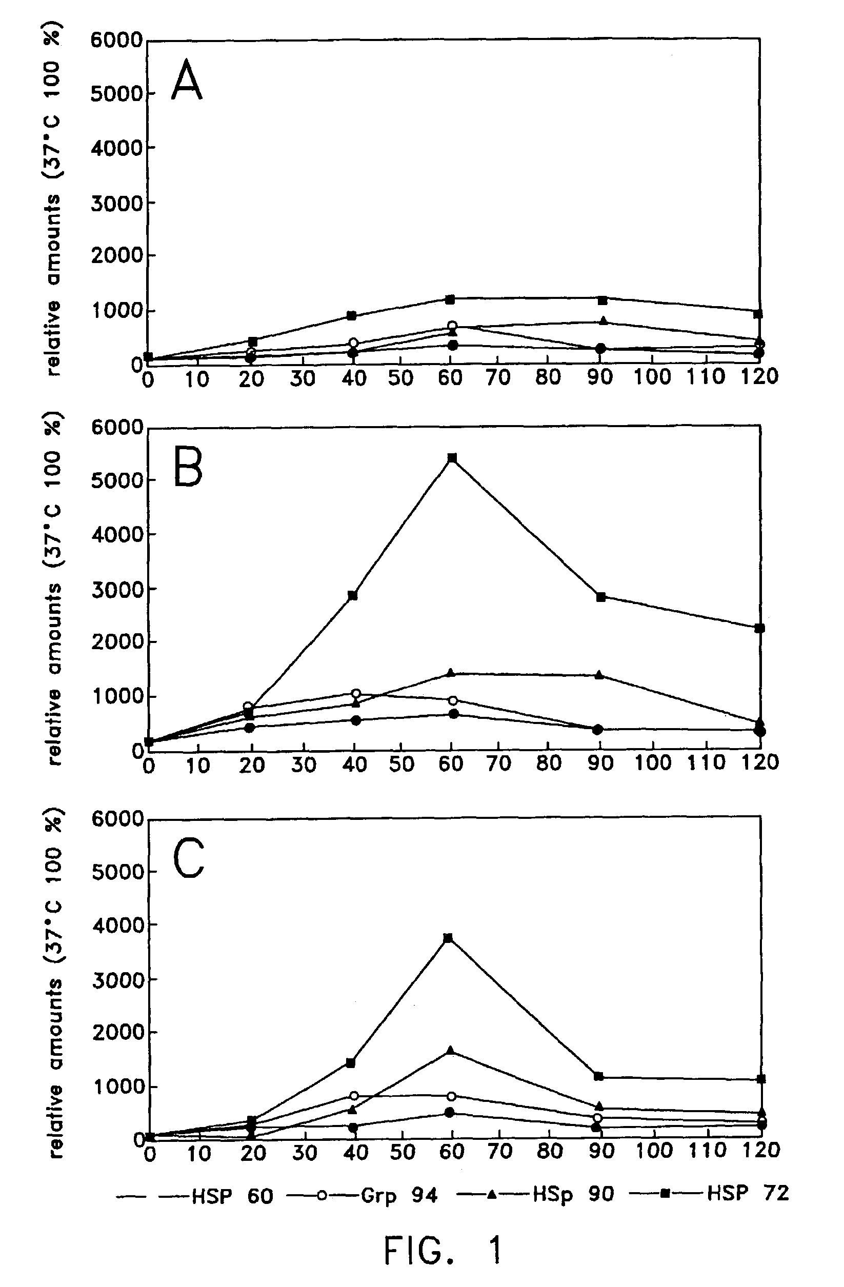 Method of enhancing cellular production of molecular chaperon, hydroxylamine derivatives useful for enhancing the chaperon production and the preparation thereof