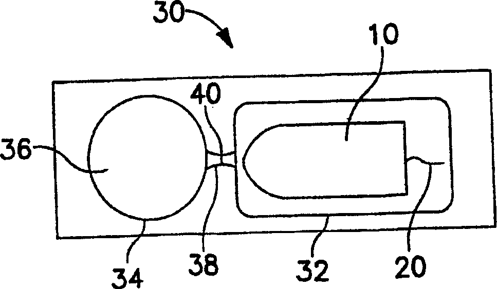 Apparatus and method for delivery of bacteria to the vaginal tract