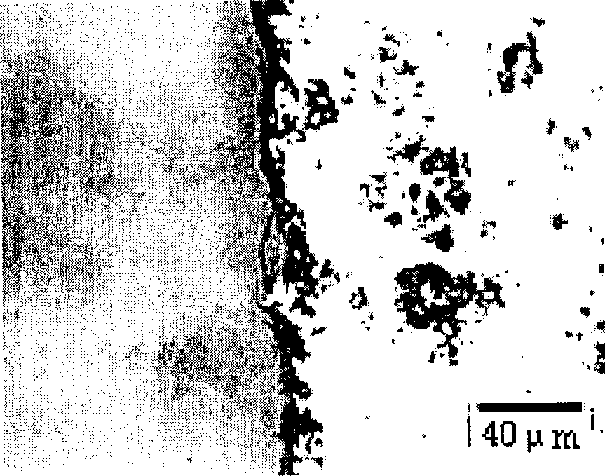 Ti surface HA active coating biological material and its preparation method