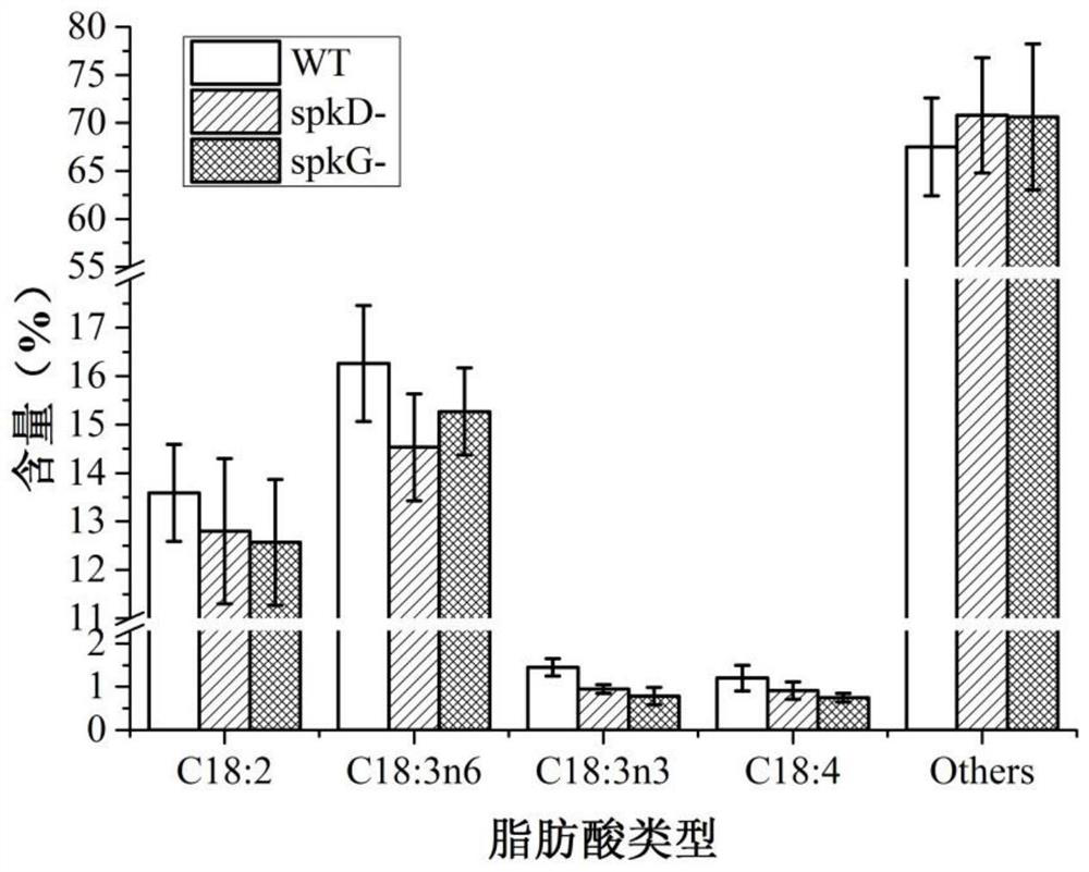 A method and application of regulating unsaturated fatty acid synthesis in Synechocystis