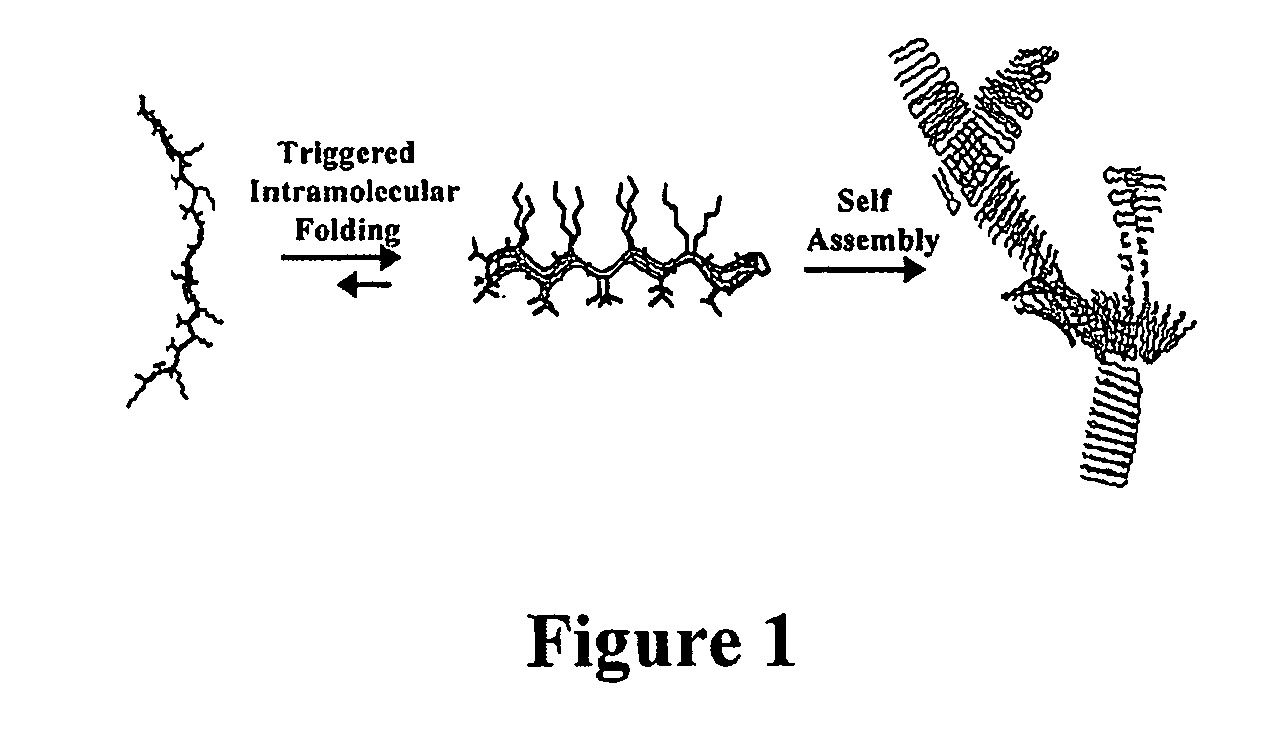 Novel hydorgels and uses thereof