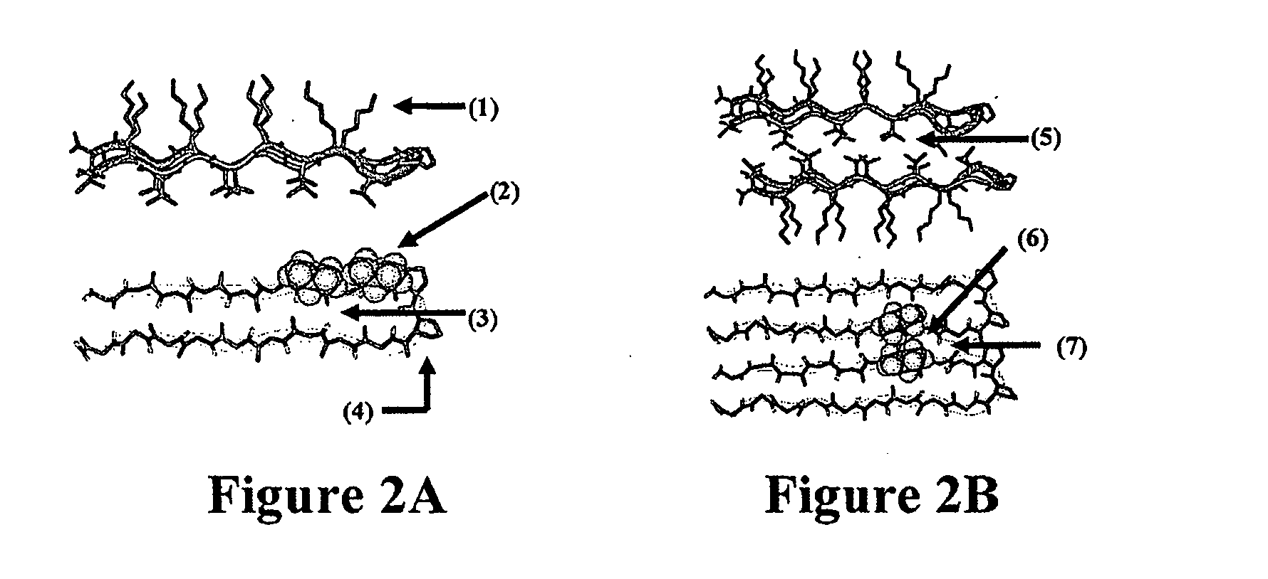 Novel hydorgels and uses thereof