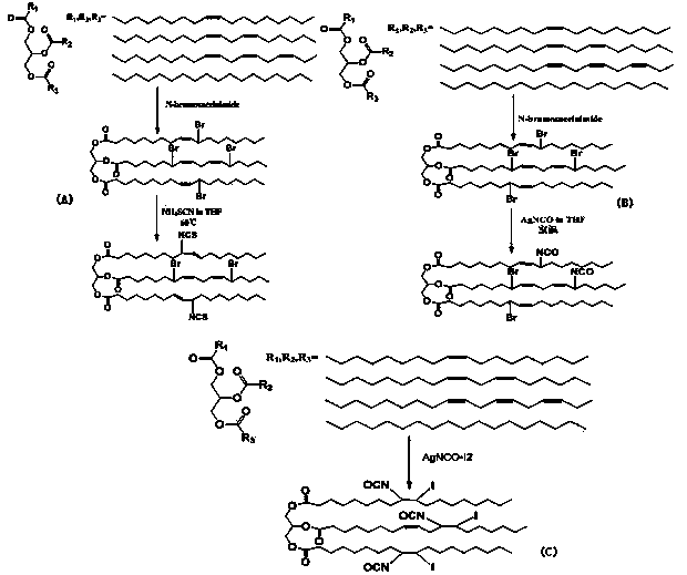 Method for preparing plant oil-based isocyanate