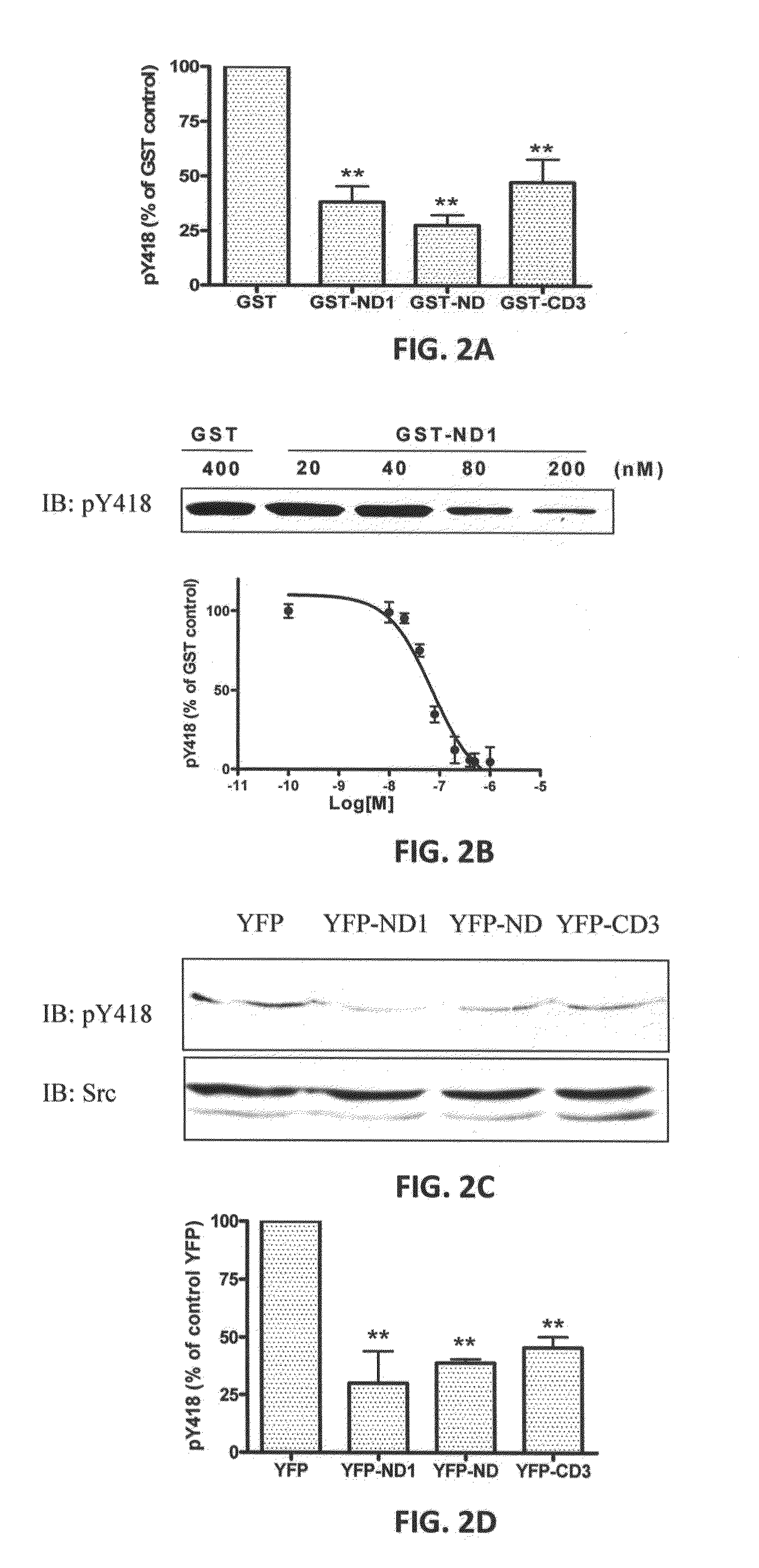 Na/k-atpase-derived peptide src inhibitors and ouabain antagonists and uses thereof