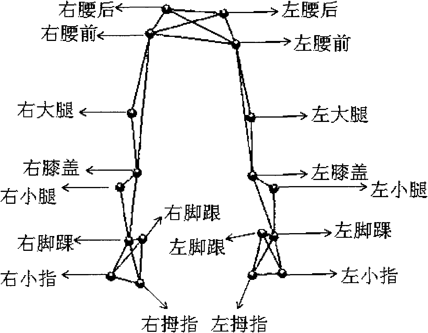 Method and system for automatically identifying characteristic points in human body chain structure.