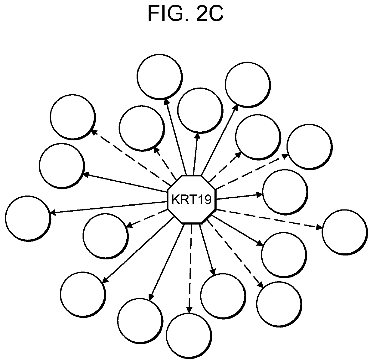 Use of markers including filamin A in the diagnosis and treatment of prostate cancer