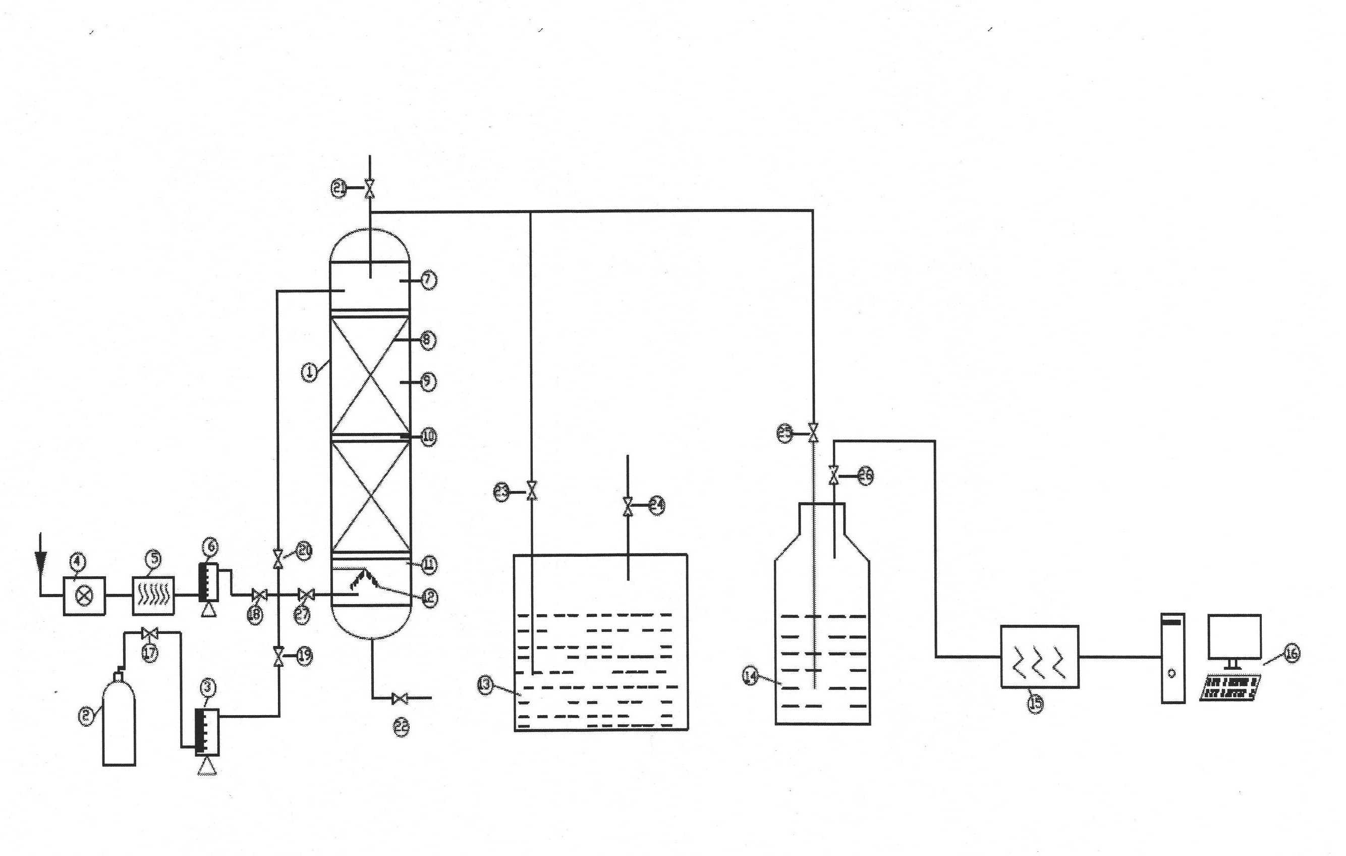 Gas-phase passivation system for petrochemical device
