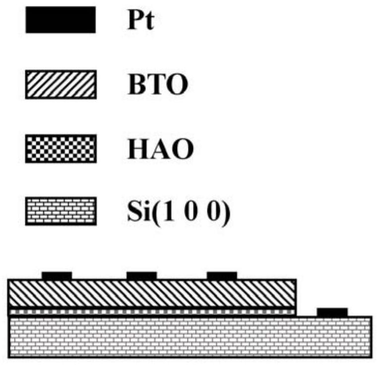 A kind of silicon integrated BTO thin film and preparation method thereof