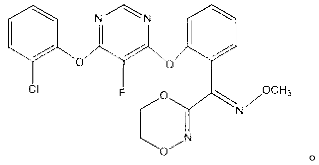 Fluoxastrobin-containing fungicide combination