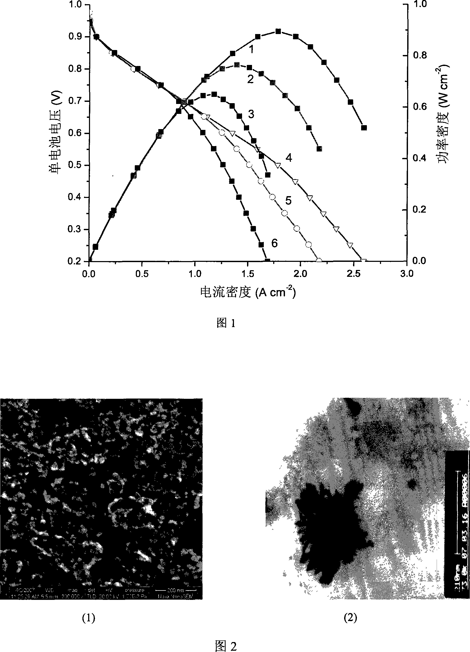 Process for preparation of gas perforated electrode catalyst of nucleus-shell structure