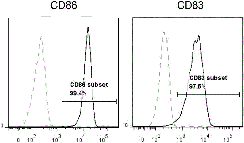 Combination factor for promoting maturity of dendritic cells and method for cultivating dendritic cells
